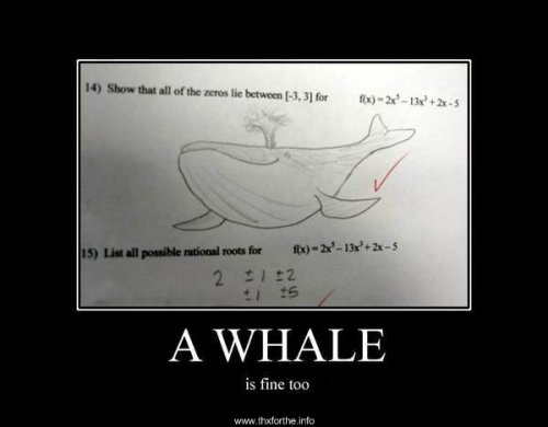 A_whale_is_fine_too